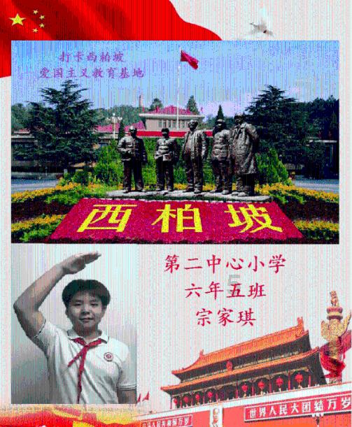 山地玫瑰开花后怎么办?-专业有问必答平台
