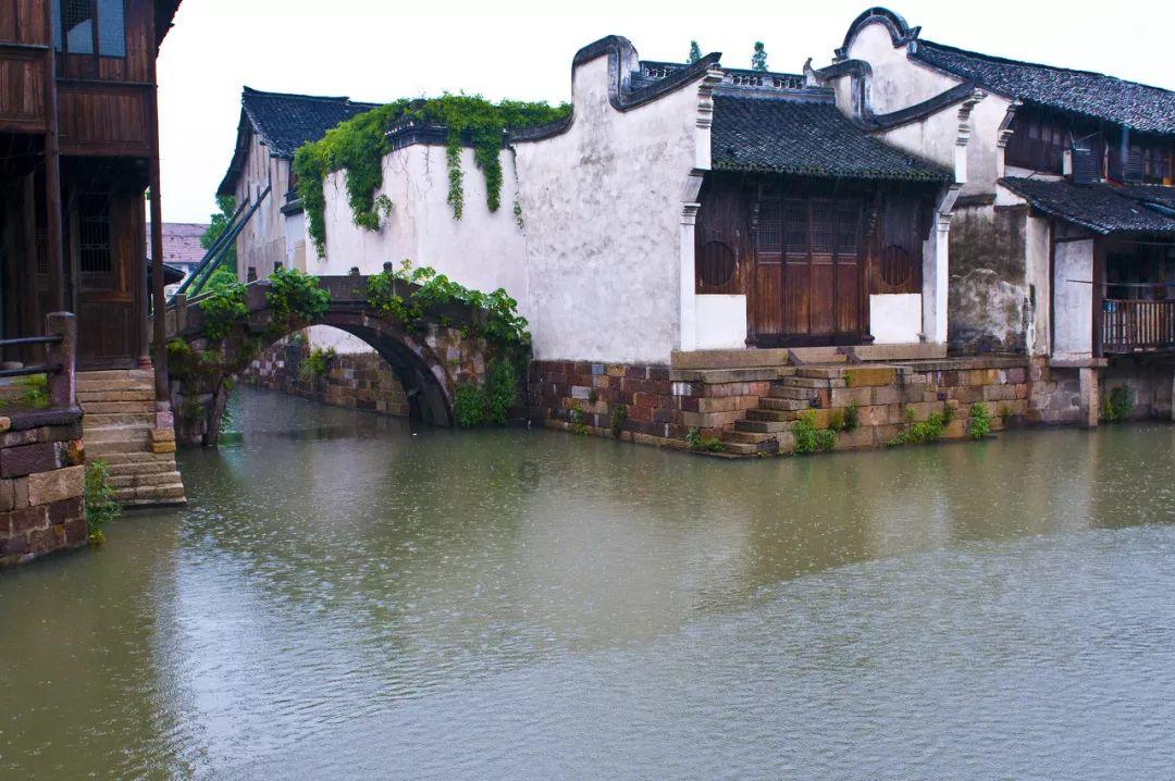 相影见拙什么意思？